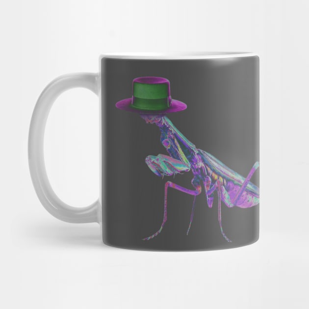 Mantis with a hat by abdoos